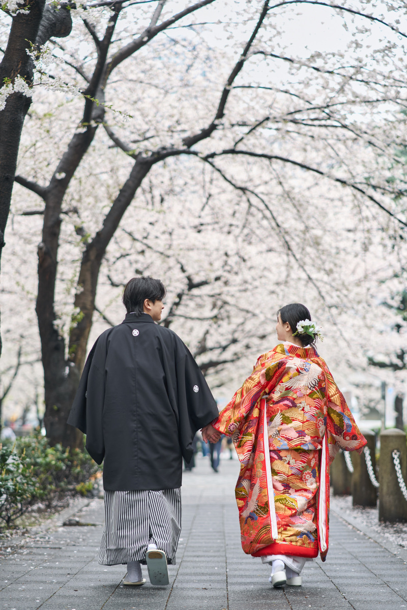 桜に包まれる、後ろ姿のワンシーン
