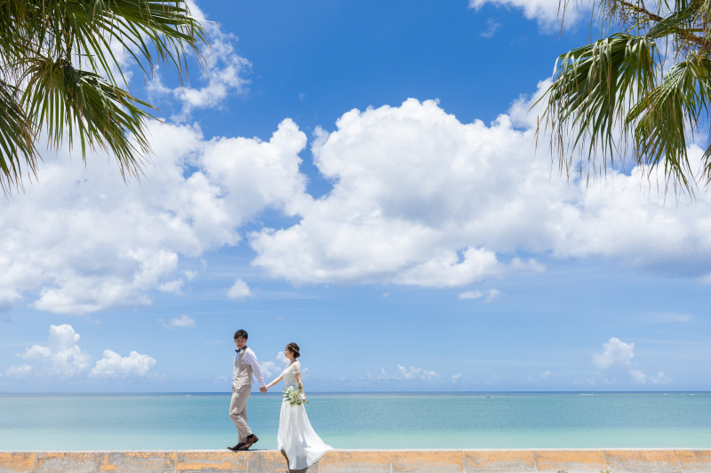 ヤシの木を入れて