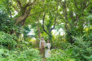 【石垣島】ビーチ・グリーン撮影プラン