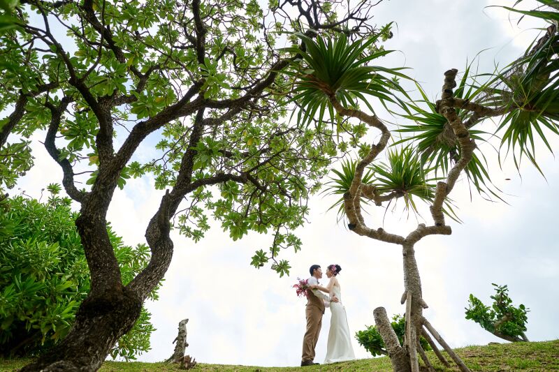 沖縄の大自然の中で