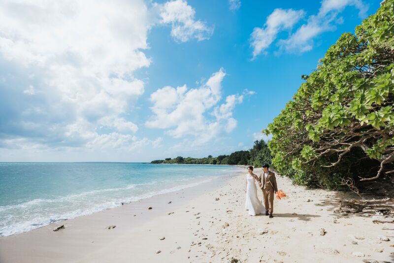 ビーチでお散歩