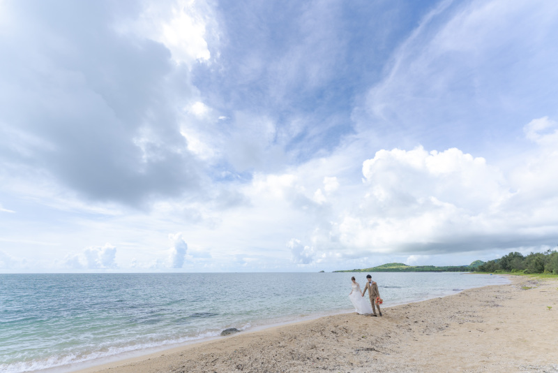 ビーチでお散歩