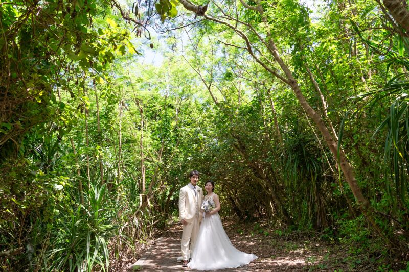 グリーンエリアでの撮影も行います