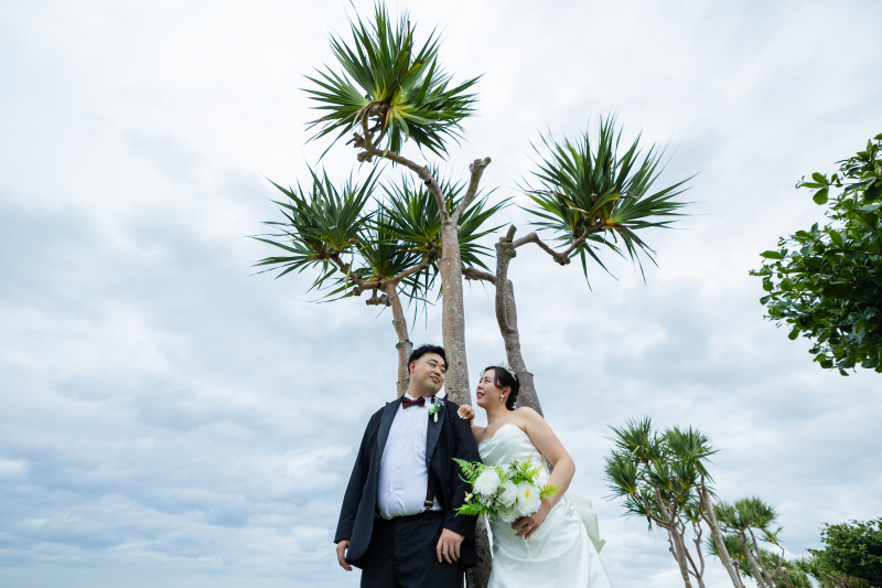 ヤシの木をバックに