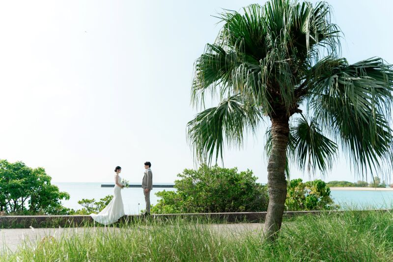 青い海とヤシの木に囲まれて