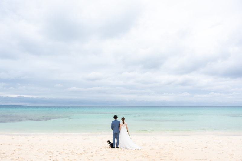 開放的なビーチで