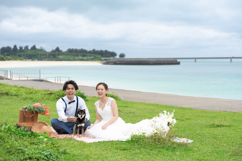 ピクニック風の撮影も