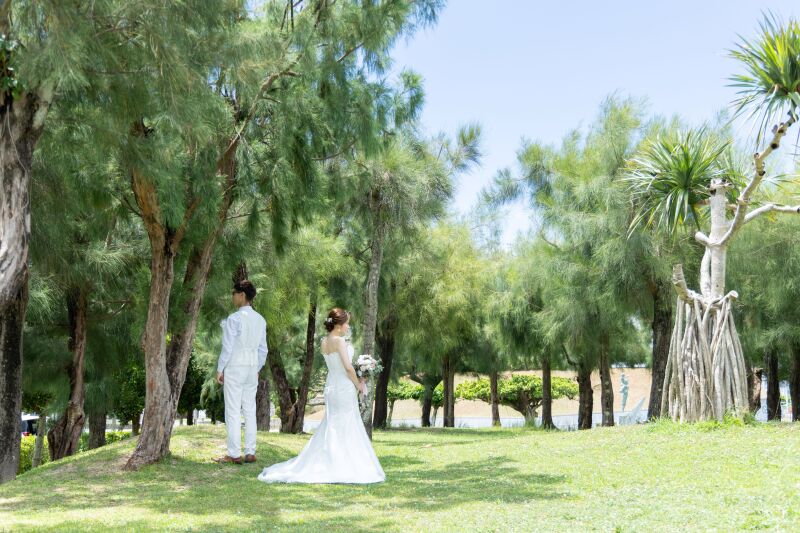 グリーンバックの撮影も