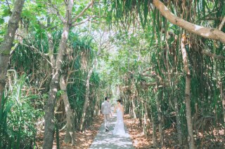 Sunny Snap OKINAWA_【宮古島・石垣島】グリーン撮影