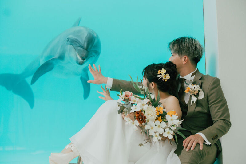ノアドルフィンドームでイルカと触れ合うウェディング撮影
