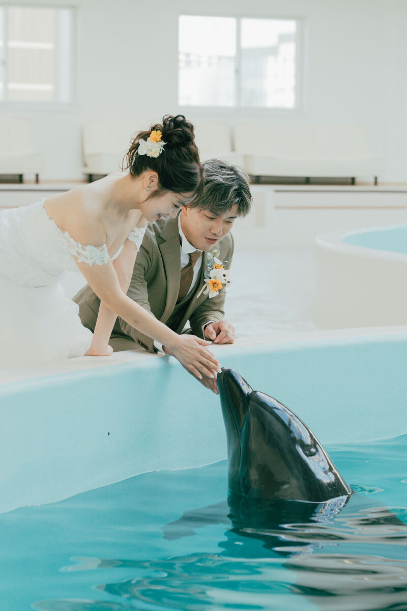 ノアドルフィンドームでイルカと触れ合うフォトプラン