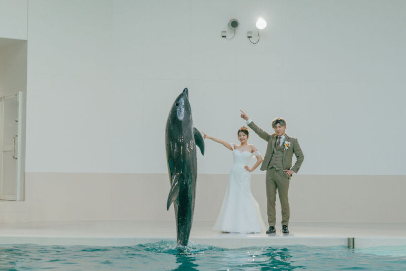 ノアドルフィンドームでイルカと触れ合うフォトプラン