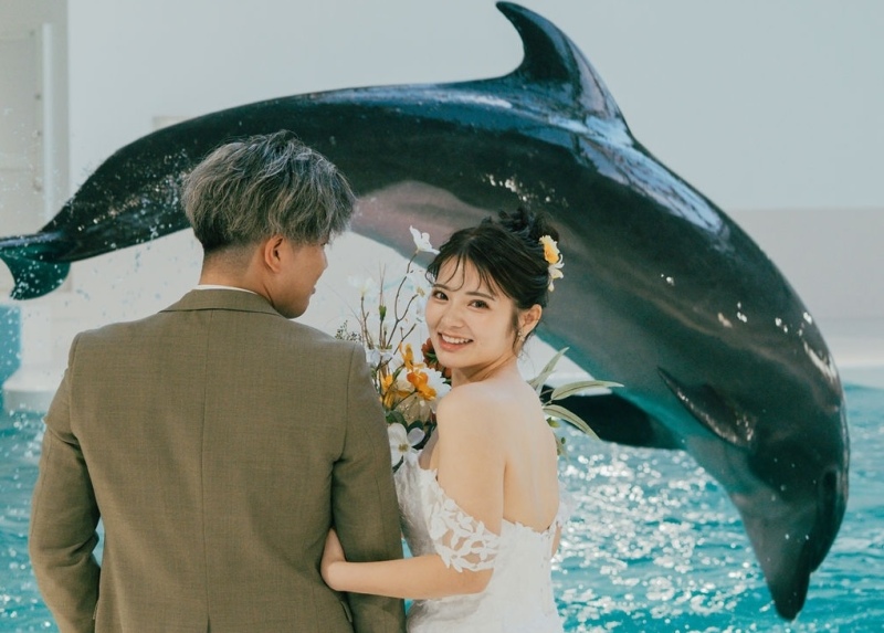 ノアドルフィンドームでイルカと触れ合うフォトプラン