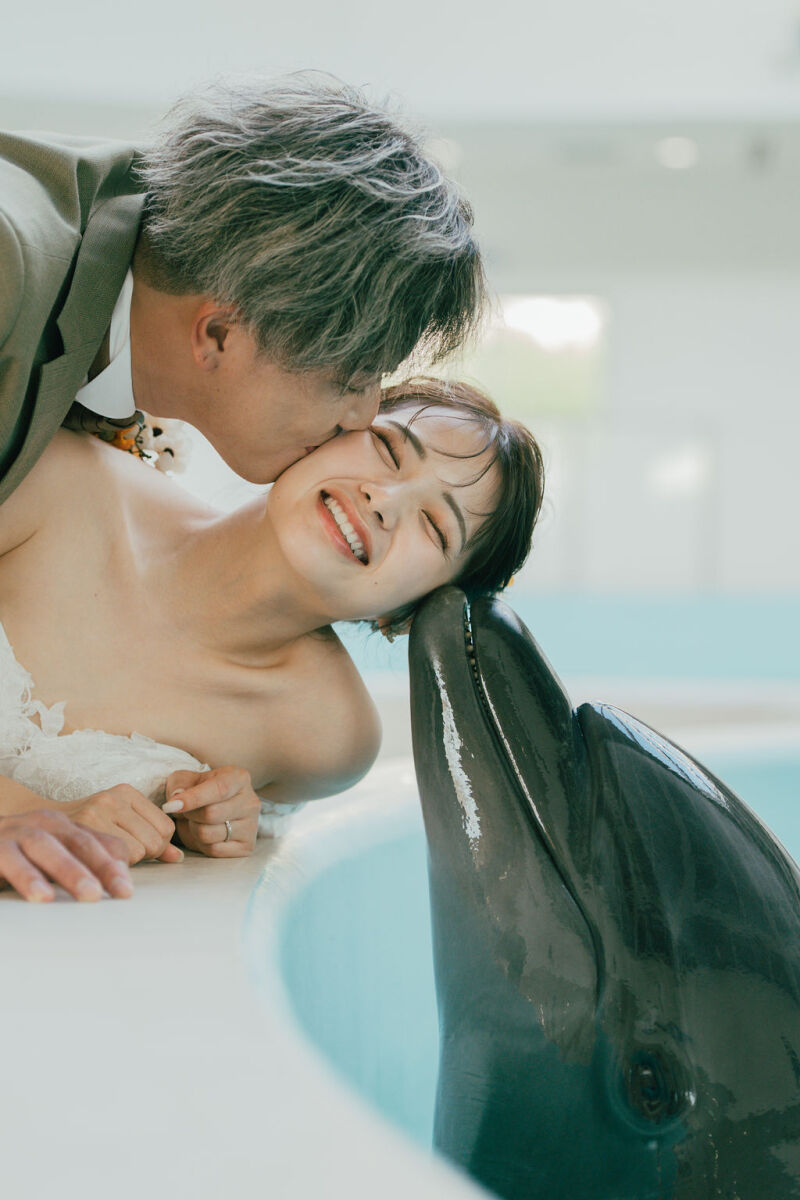 ノアドルフィンドームでイルカと触れ合うフォトプラン