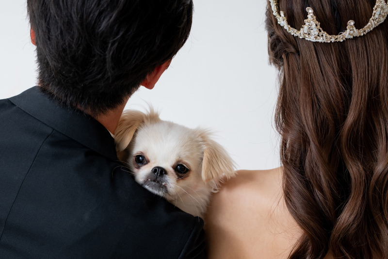 お二人に挟まれてワンちゃんの表情を撮影