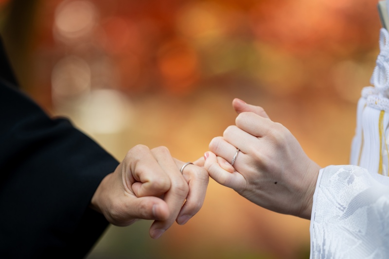 お手元のイメージカット