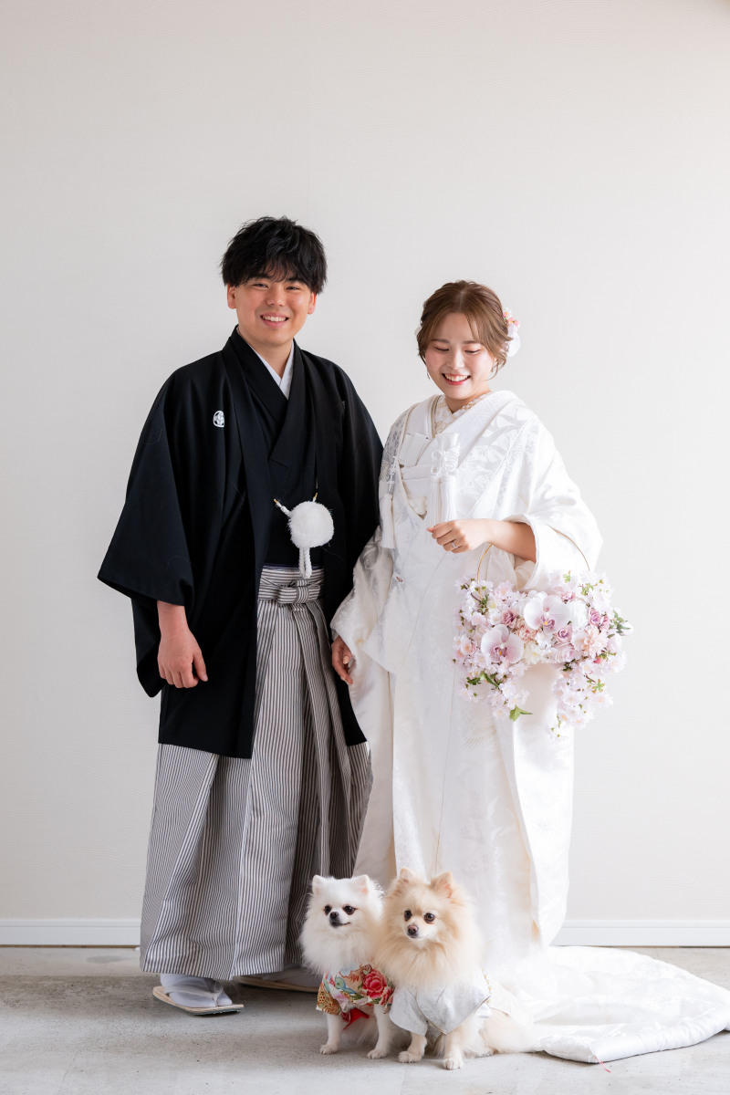 少し落ち着いてきたワンちゃん