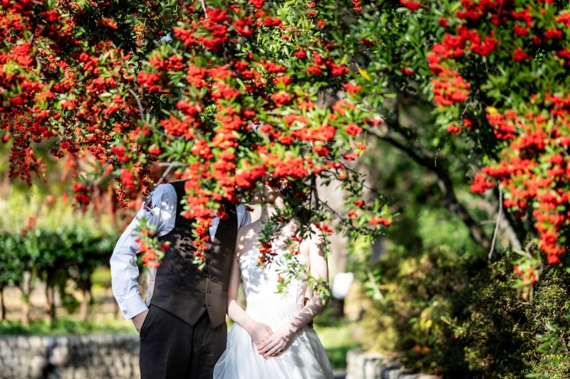 顔隠しカット!植物バージョン♪
