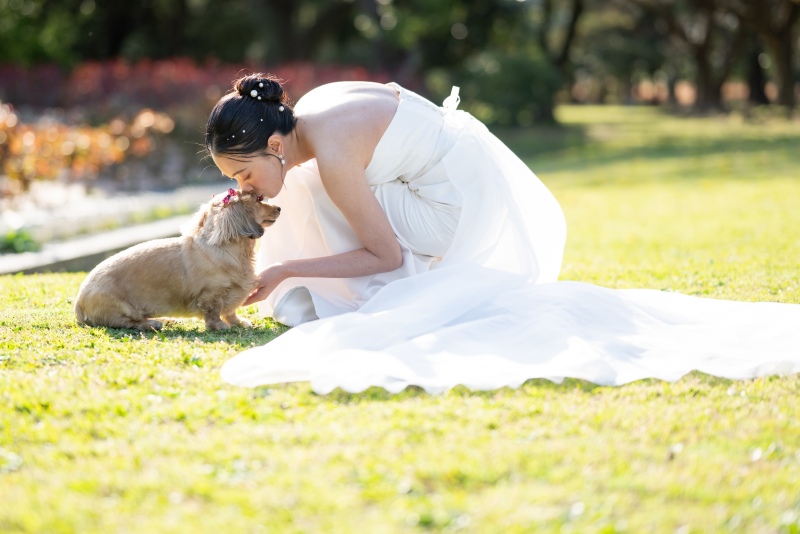 大切なペットちゃんもリラックスして撮影参加