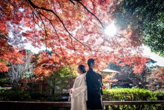 【東山植物園&times;庄内緑地公園】紅葉と新緑。和装洋装ロケーション♪