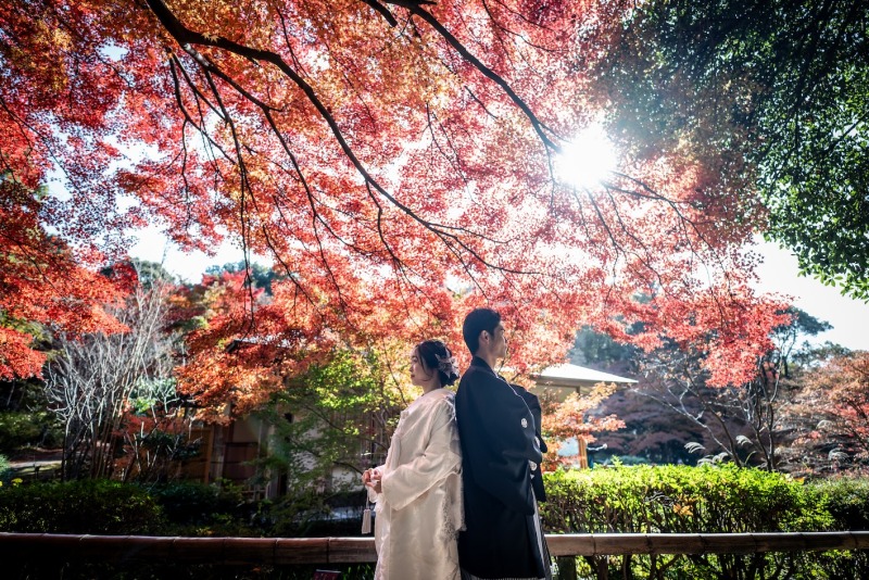 【東山植物園&times;庄内緑地公園】紅葉と新緑。和装洋装ロケーション♪