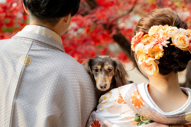 大切な家族♡ペットとの撮影