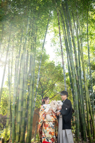 スタジオ マタニティウェディングフォト 画像