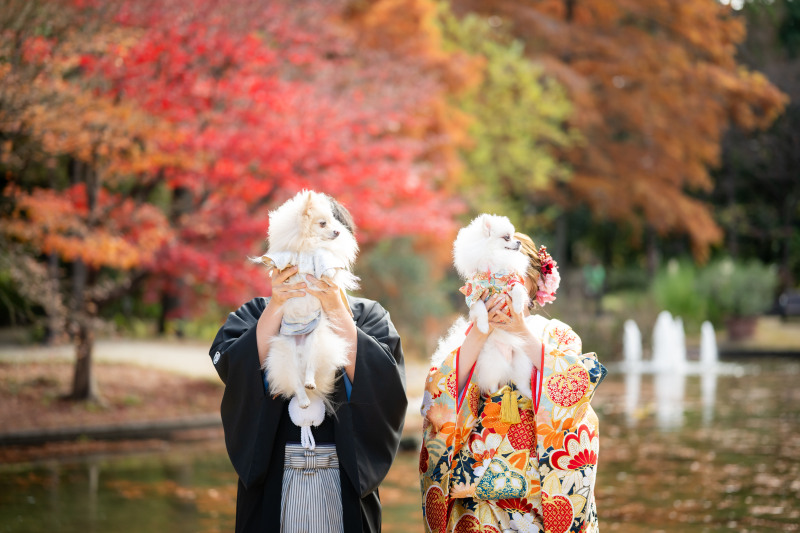 顔隠しカット！ワンちゃんバージョン