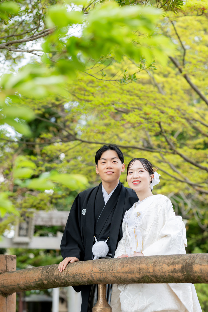 桜から一転！橋の上で新緑と！