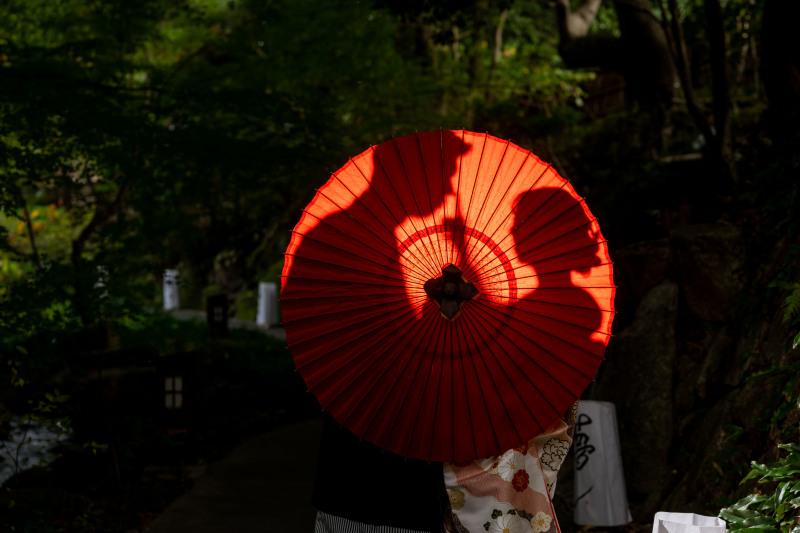 番傘を使ったシルエットカット