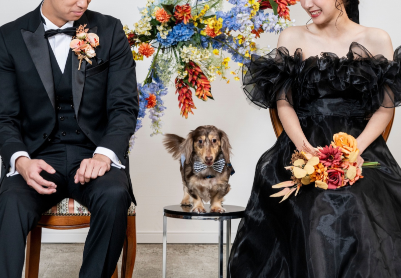 ペットちゃんも 主役です!