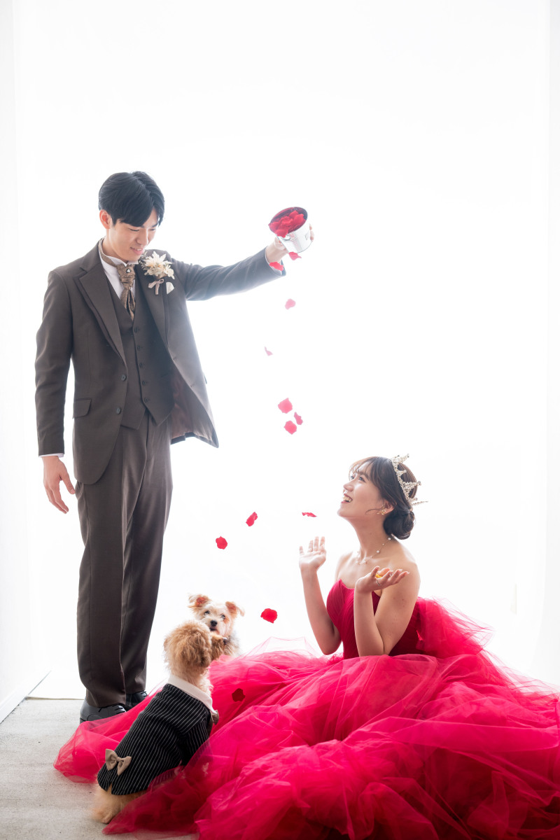 逆光ブースで新郎様からのフラワーシャワー
