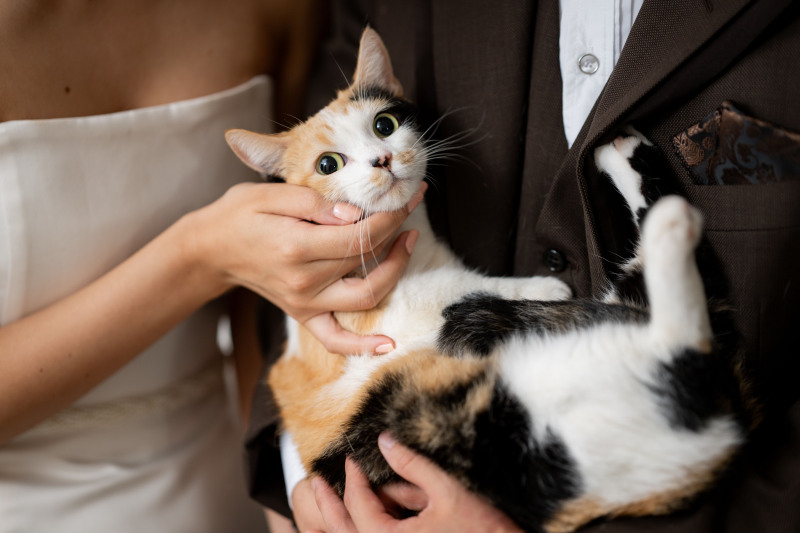 猫ちゃんもお二人もお疲れ様でした!