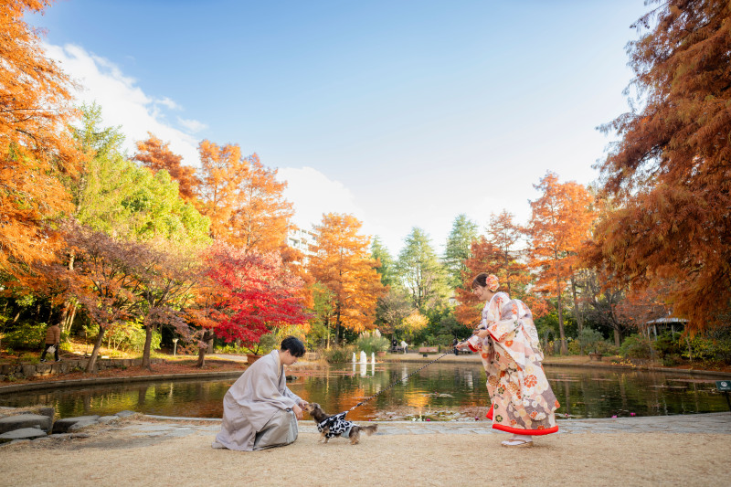ワンちゃん！走る！受け止める！