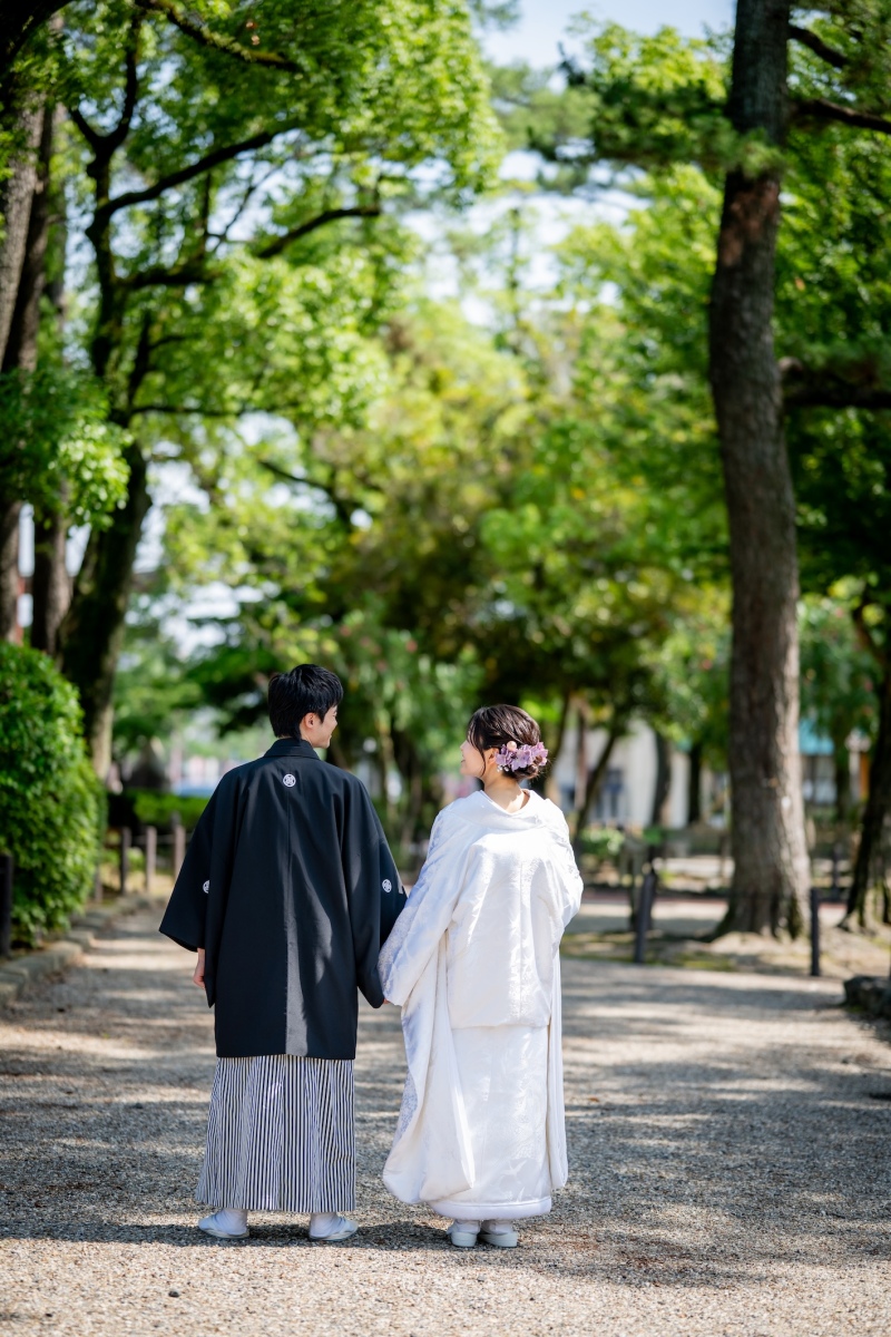 後ろ姿の散歩カット