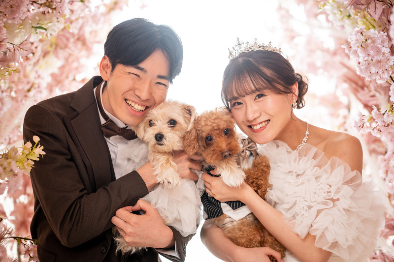 最初からワンちゃんに入ってもらってスタート♪