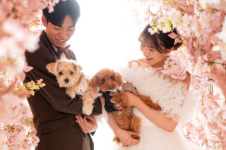 【ワンちゃんと一緒】洋装２着でスタジオ＋プチロケ！