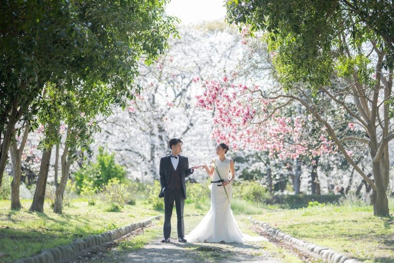 桜や菜の花やモクレン、新緑に包まれて