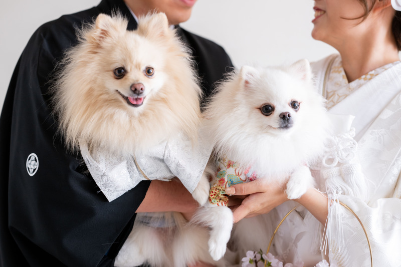 ワンちゃんの２ショット