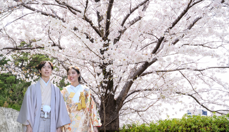 人気No.1‼︎ 『日本庭園+スタジオ』セット