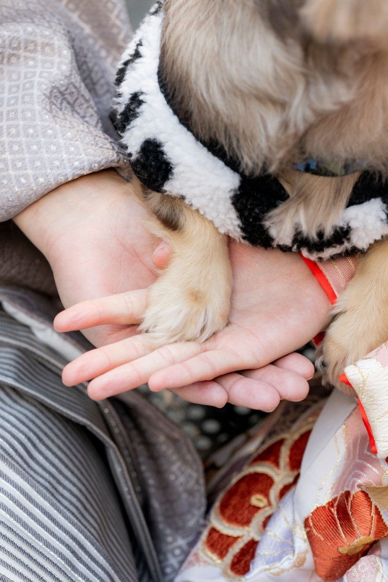 studioCharmant_ペットと一緒に撮影できる