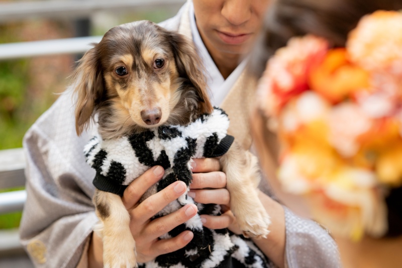 studioCharmant_ペットと一緒に撮影できる