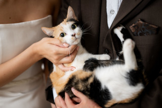 《新春キャンペーン》⑧10大特典:ペット撮影