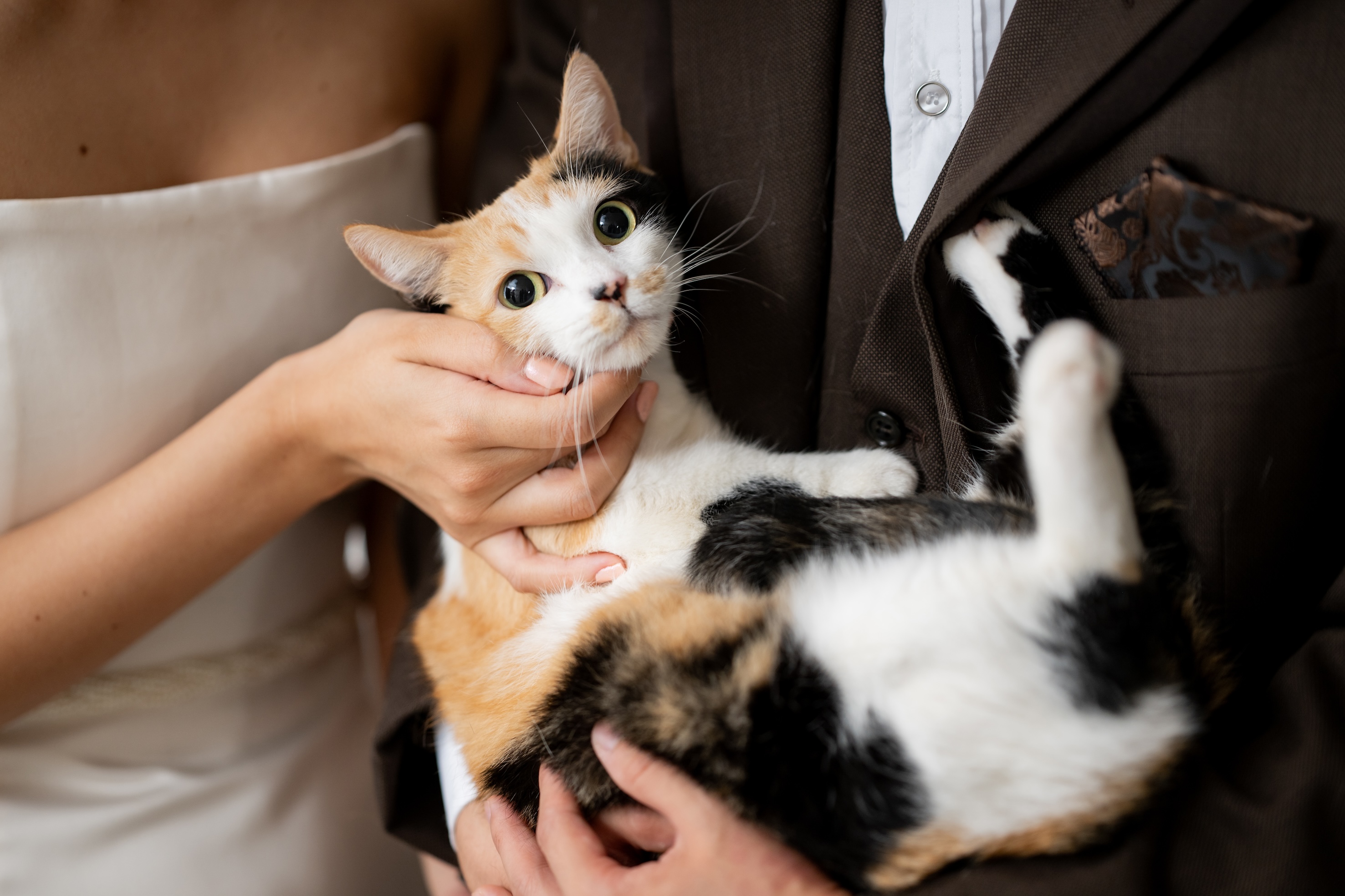 20以上ある撮影シーン