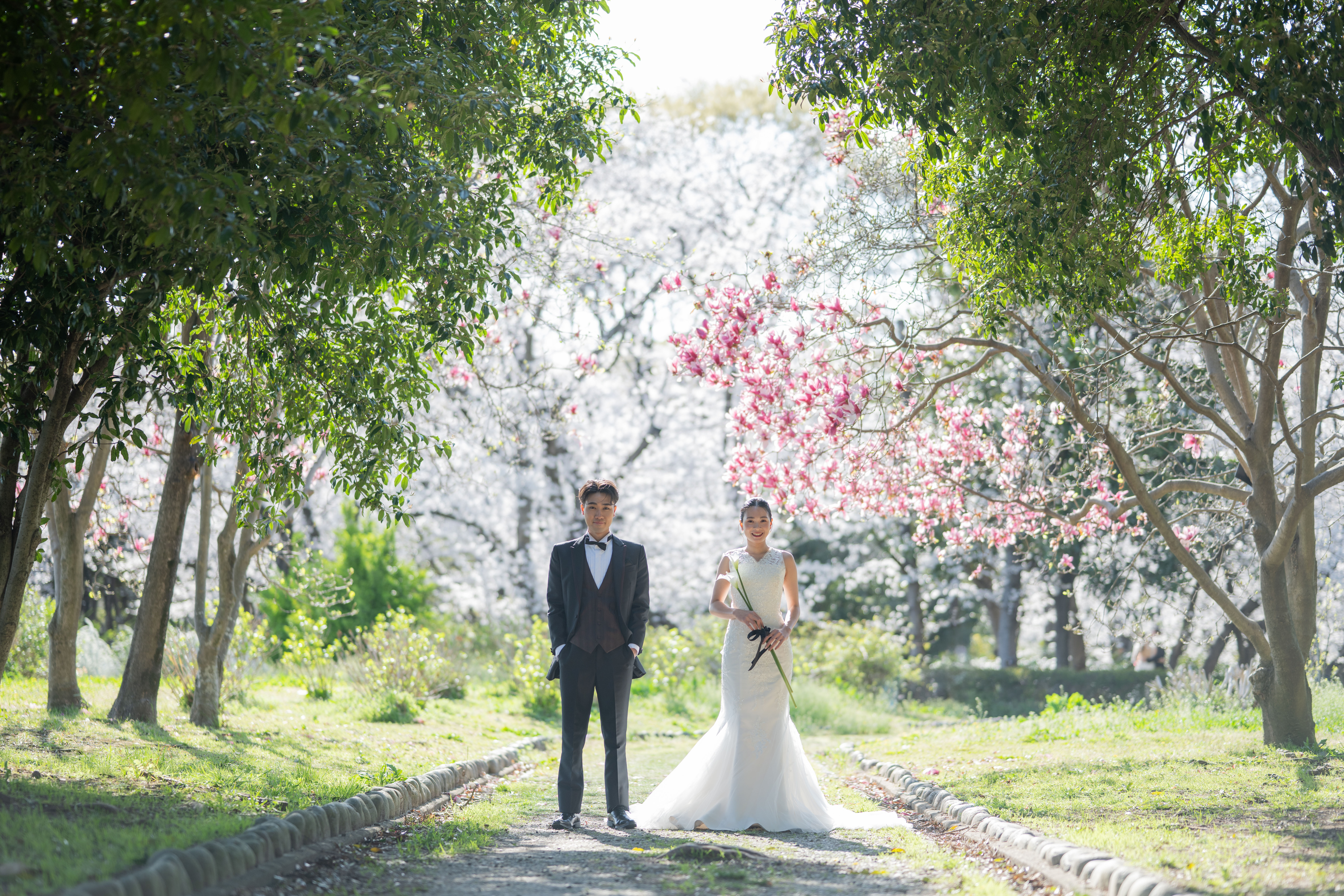 Point1 多彩な撮影シーン