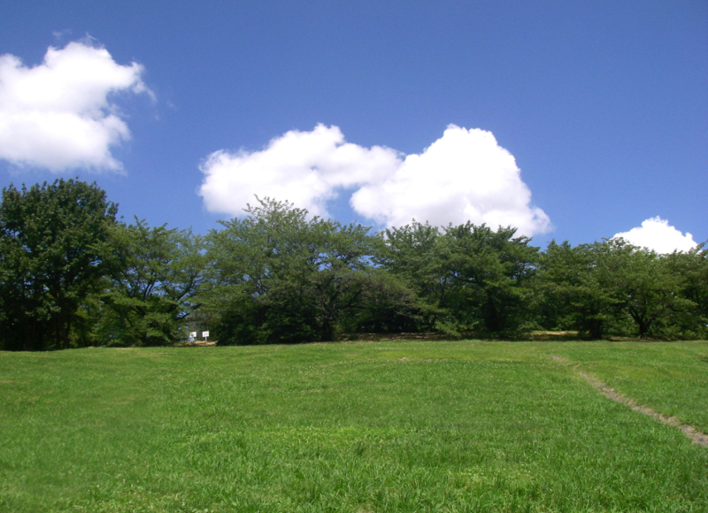 “モニター様募集“ナチュラル多彩なロケーション【大高緑地公園】 ※1組様 限定