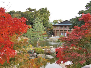 【徳川園‼︎】紅葉　深まる秋、徳川園の紅に包まれて☆　ロケ費（送迎、交通費、施設使用料など）付き♡
