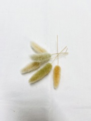 髪飾り（造花）