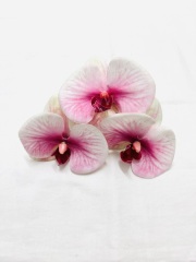 髪飾り（造花）