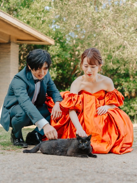 まさかの出会い♡猫に夢中